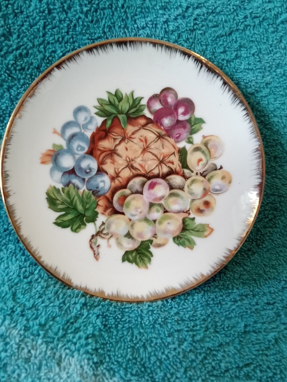 #067 Hand-Painted Fruit Motif Decorative Plate in White with Gold Trim